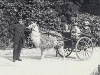 Drie bezoekers, waaronder een jonge jongen, rijden in een kar getrokken door een lama met een verzorger, London Zoo, mei 1914